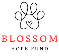 Blossom Home Fund